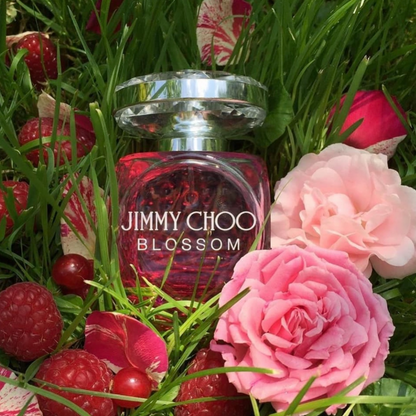 Perfume Dama Jimmy Choo Blossom