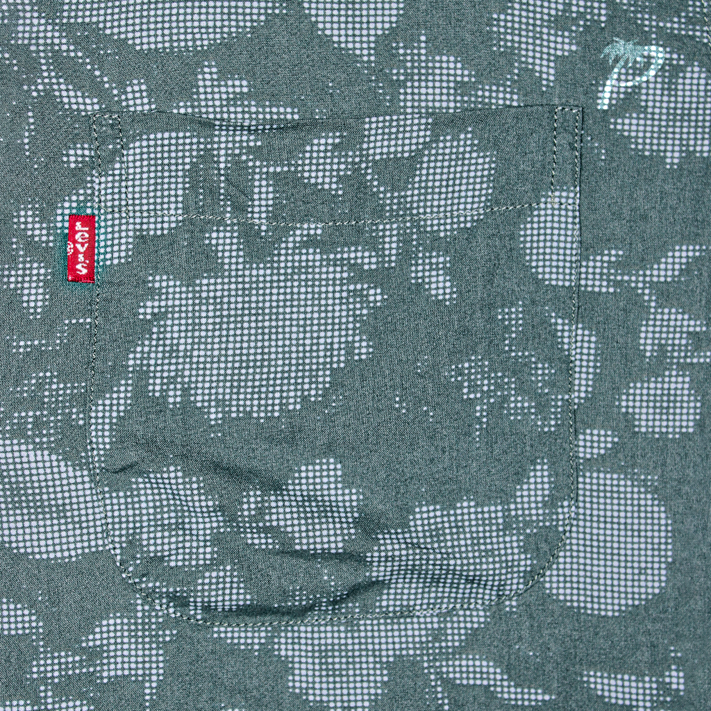 Camisa Caballero Levis Greens