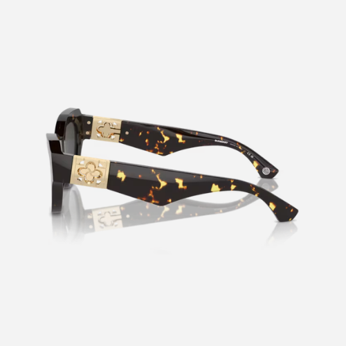 Lente Dama Burberry