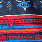 Camisa Caballero Ariat True Blue