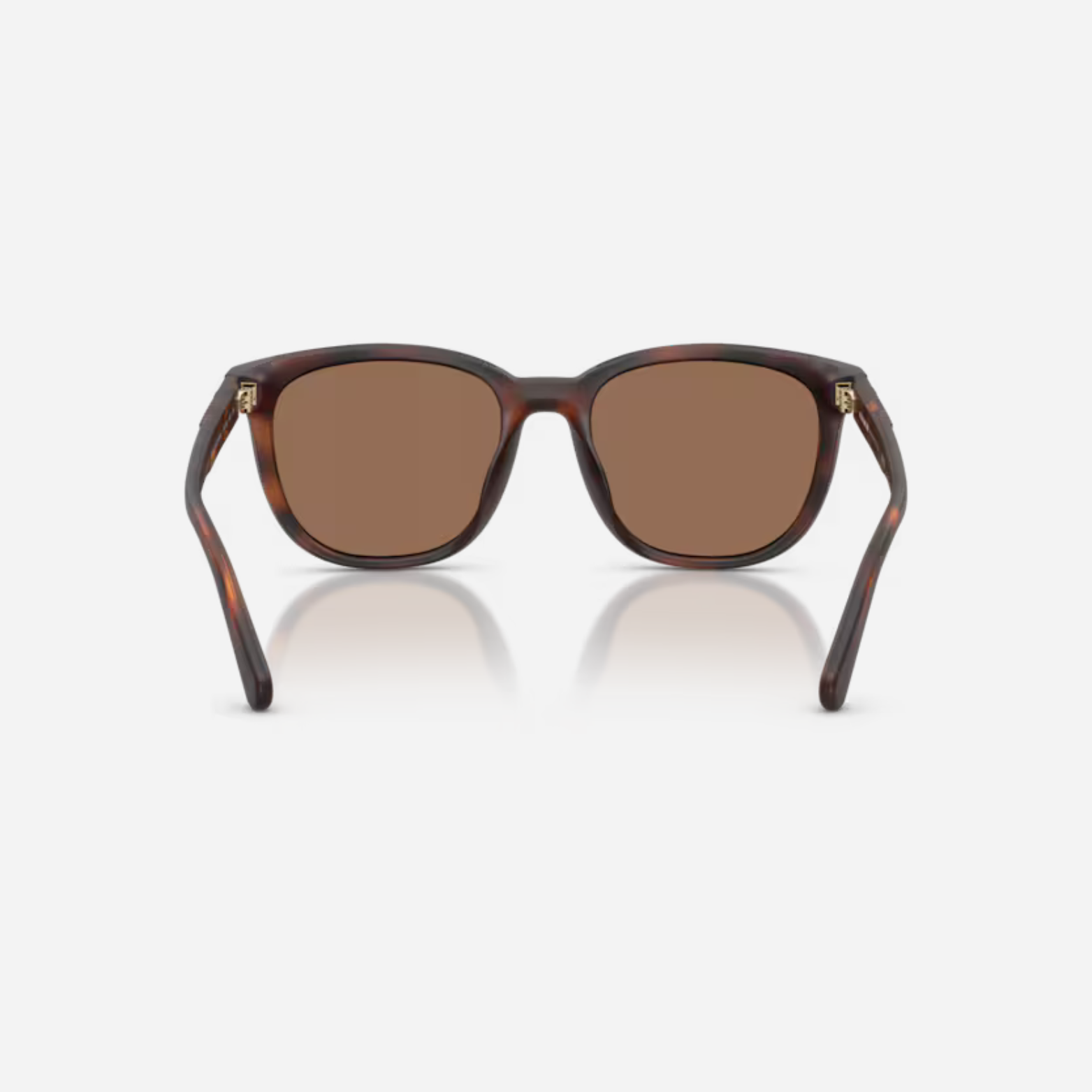Lente Caballero Coach