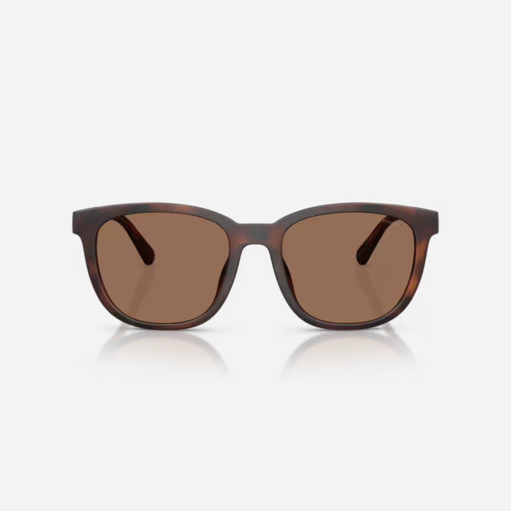 Lente Caballero Coach