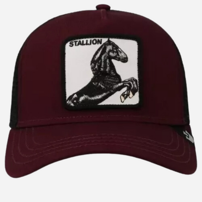 Cachucha Caballero Goorin Bros The Stallion Wine