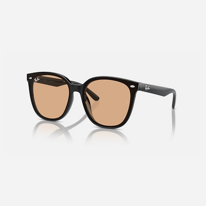 Lente Dama Ray Ban Black Brown