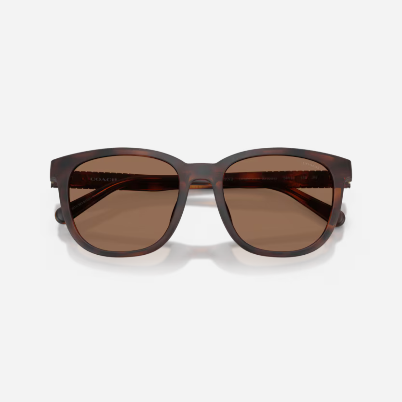 Lente Caballero Coach