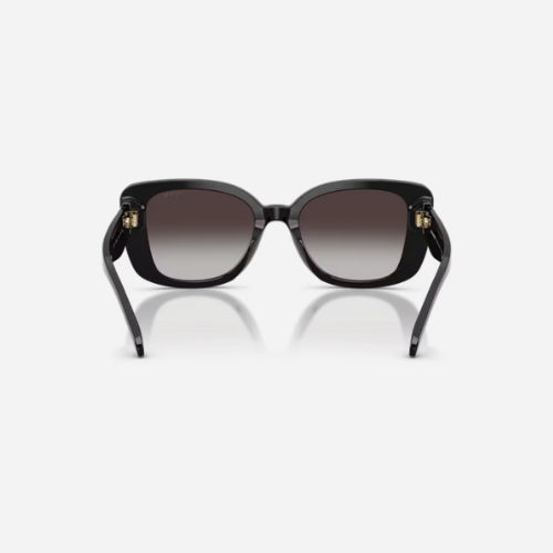 Lente Dama Coach