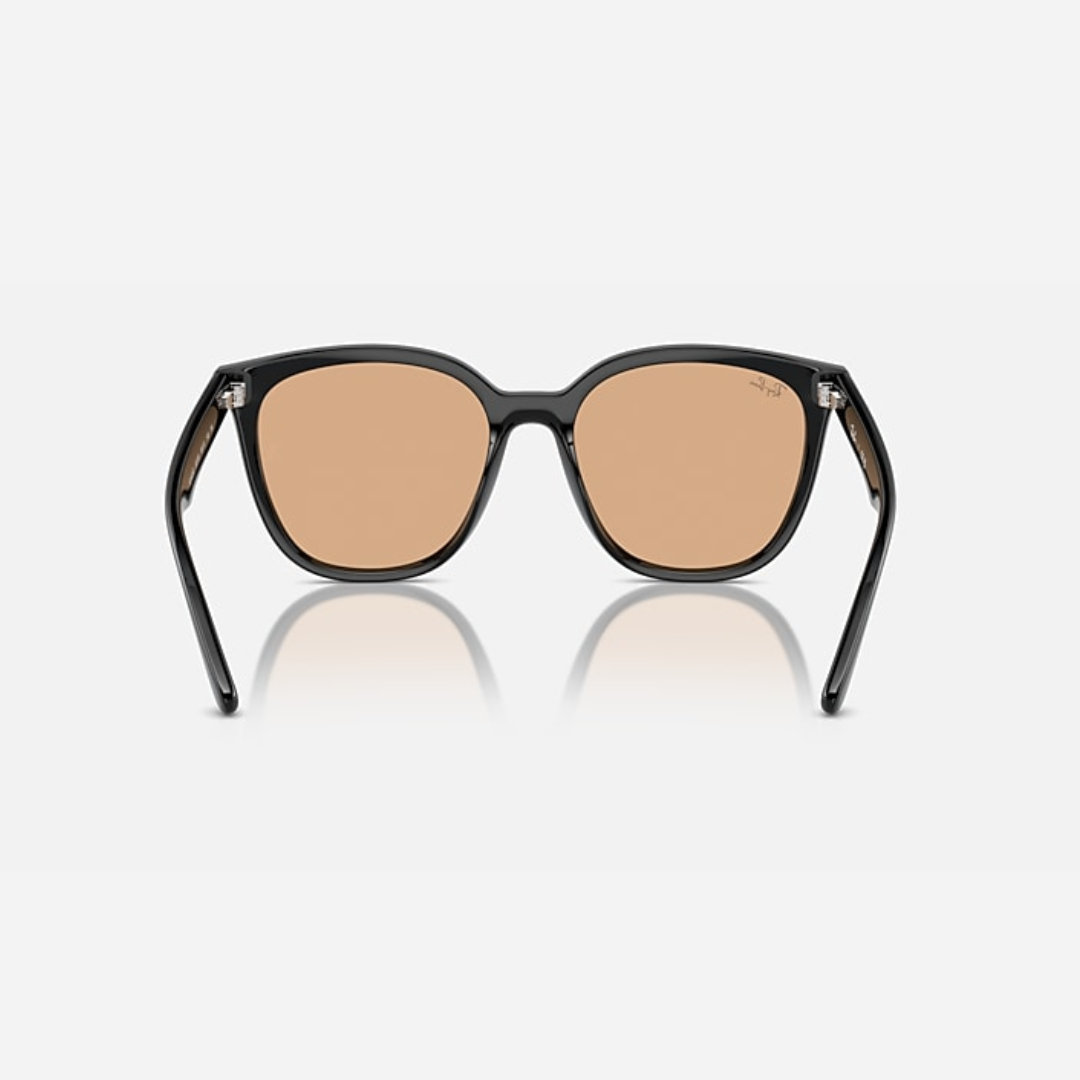 Lente Dama Ray Ban Black Brown