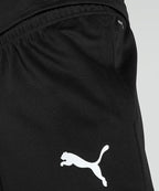 Conjunto Caballero Puma