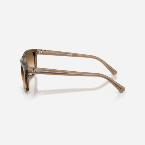 Lente Unisex Ray Ban