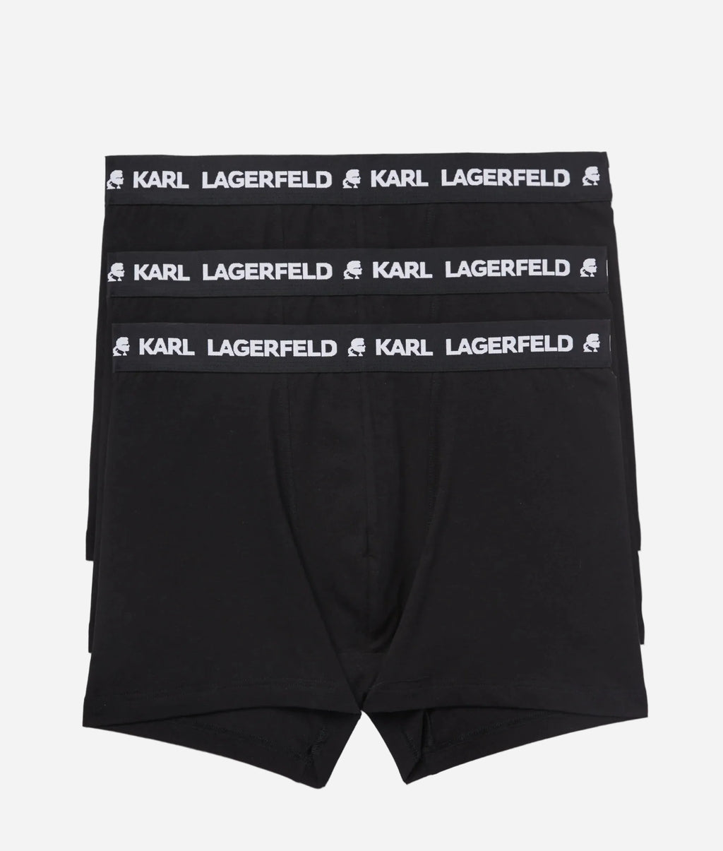 Boxer Caballero Karl Lagerferd