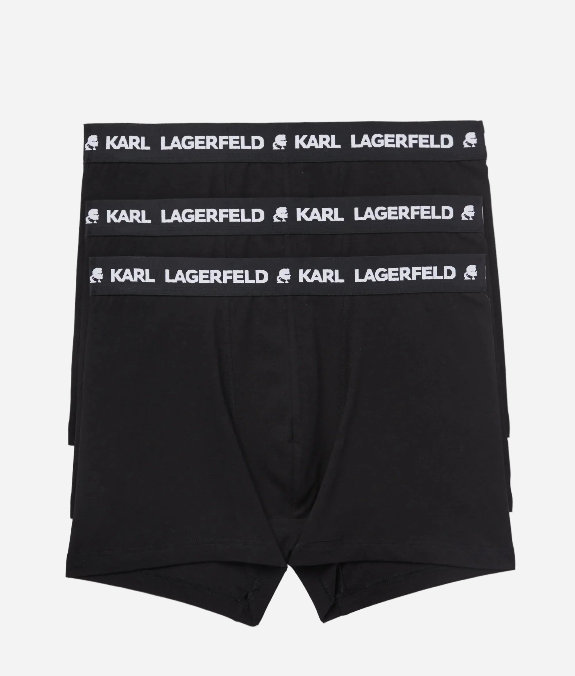 Boxer Caballero Karl Lagerferd