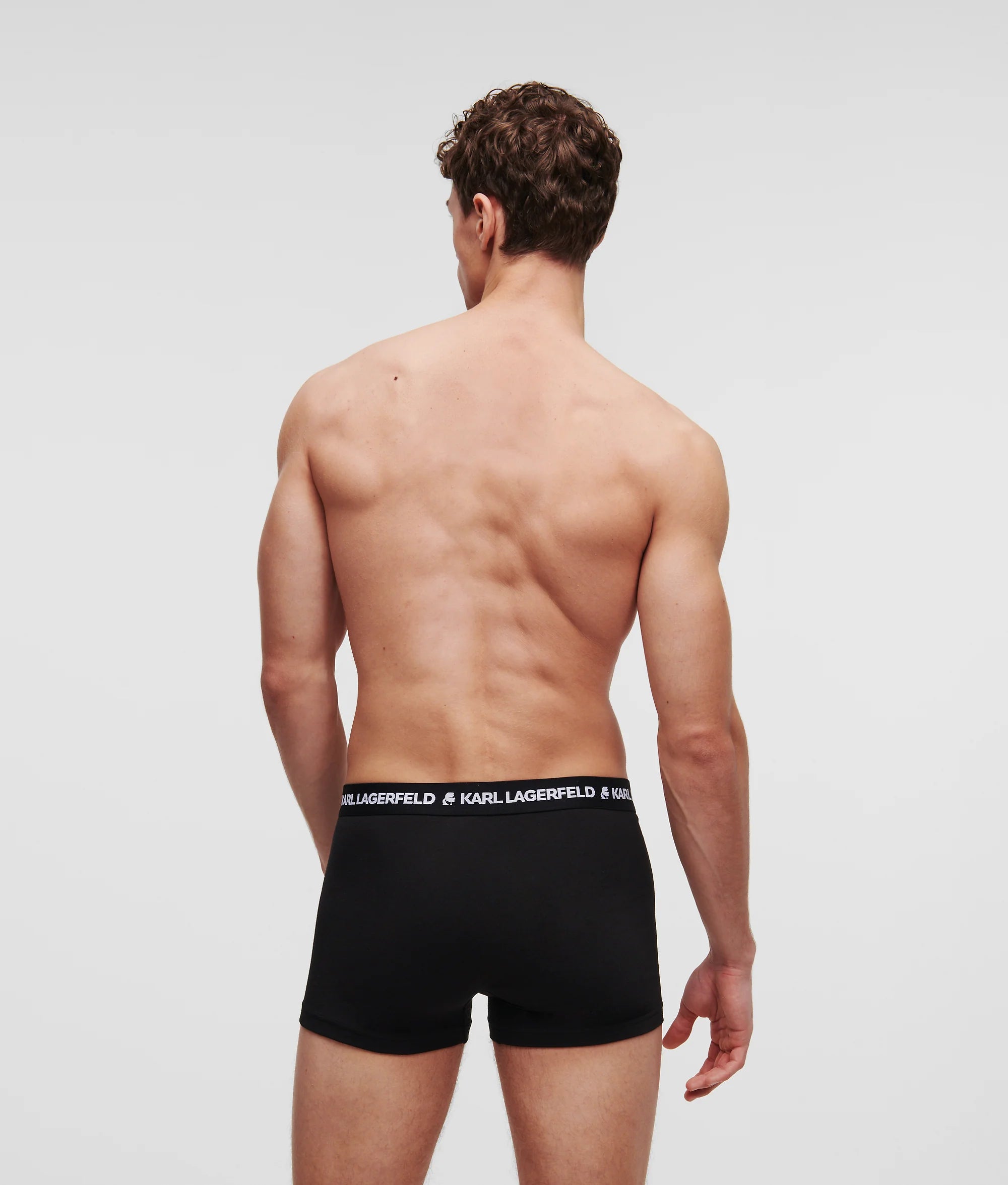 Boxer Caballero Karl Lagerferd