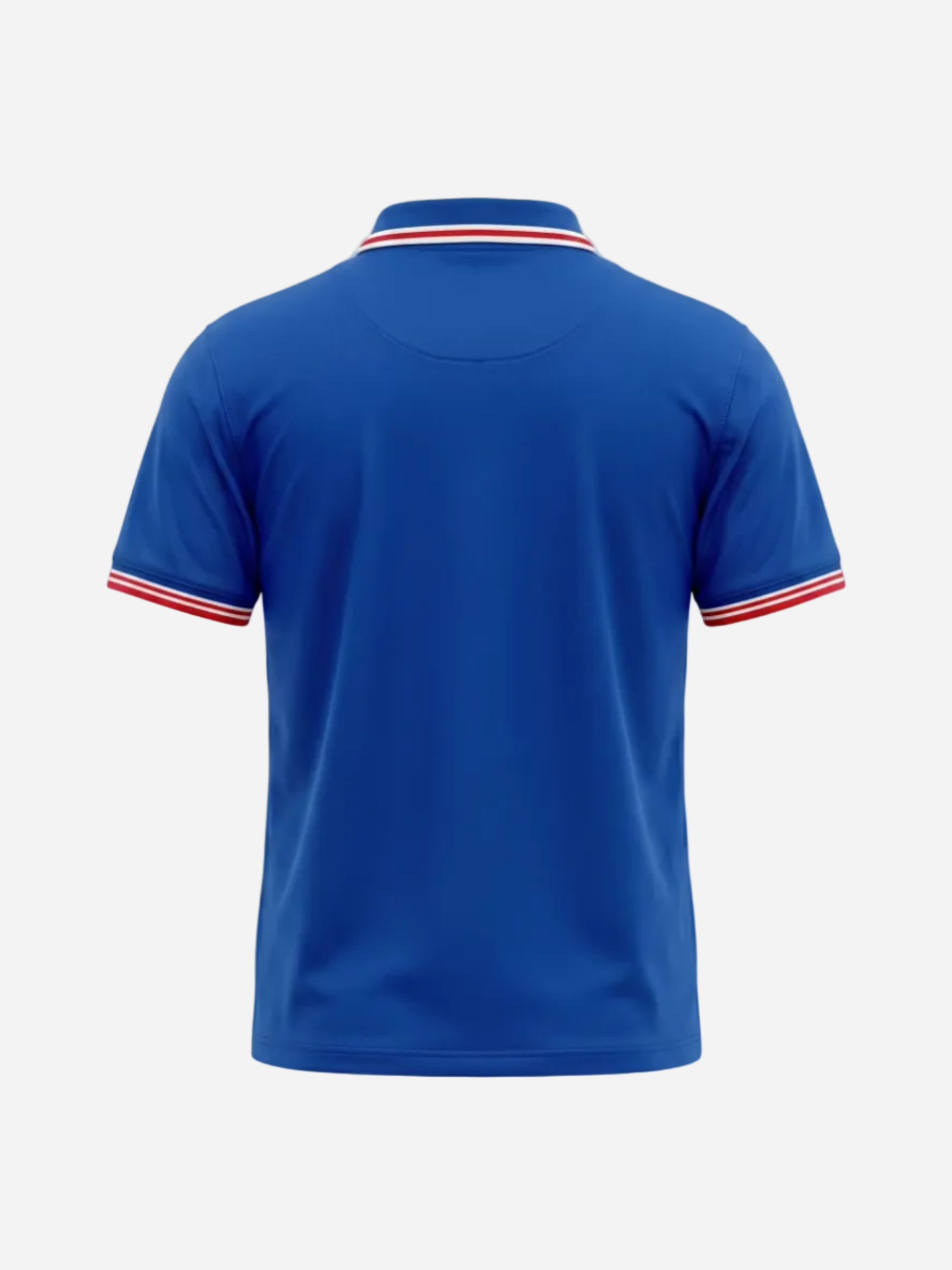 Playera Caballero American Fly Francia