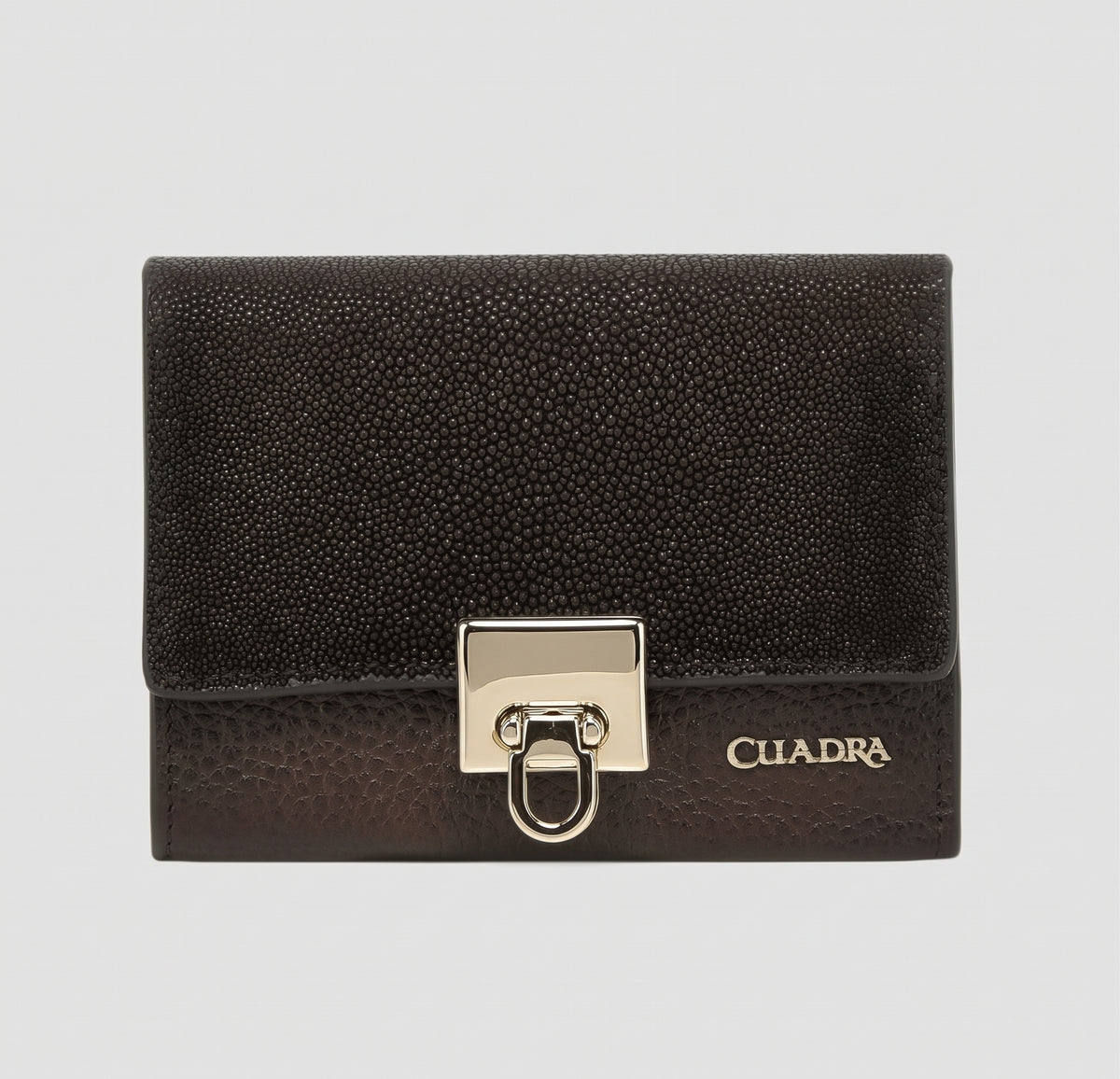 Cartera Caballero Cuadra