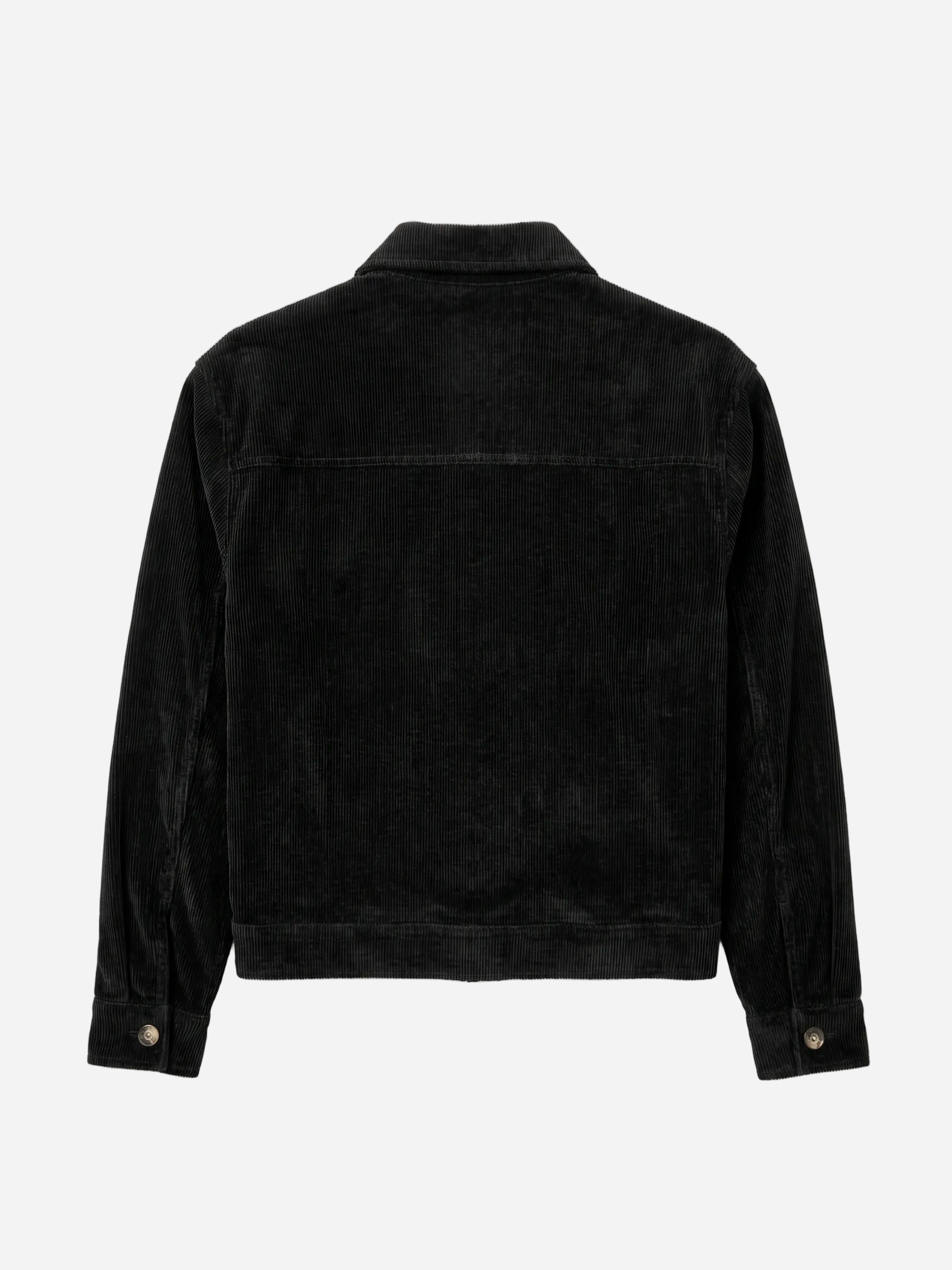 Chaqueta Caballero Buckle London