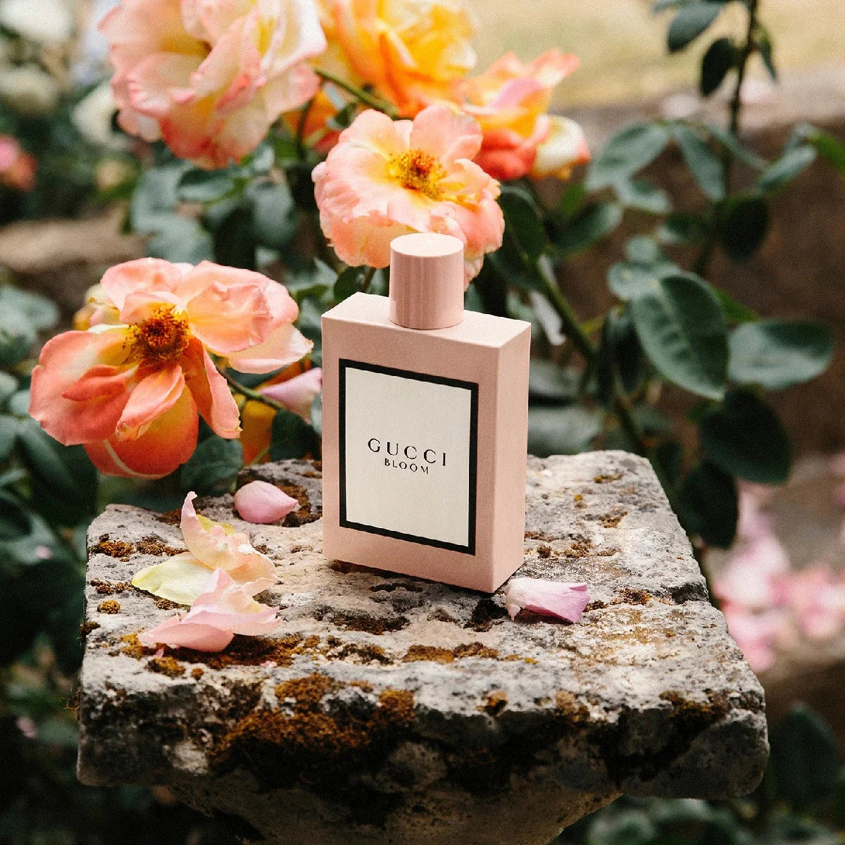 Perfume Dama Gucci