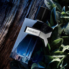 Perfume Caballero Yves Saint Laurent