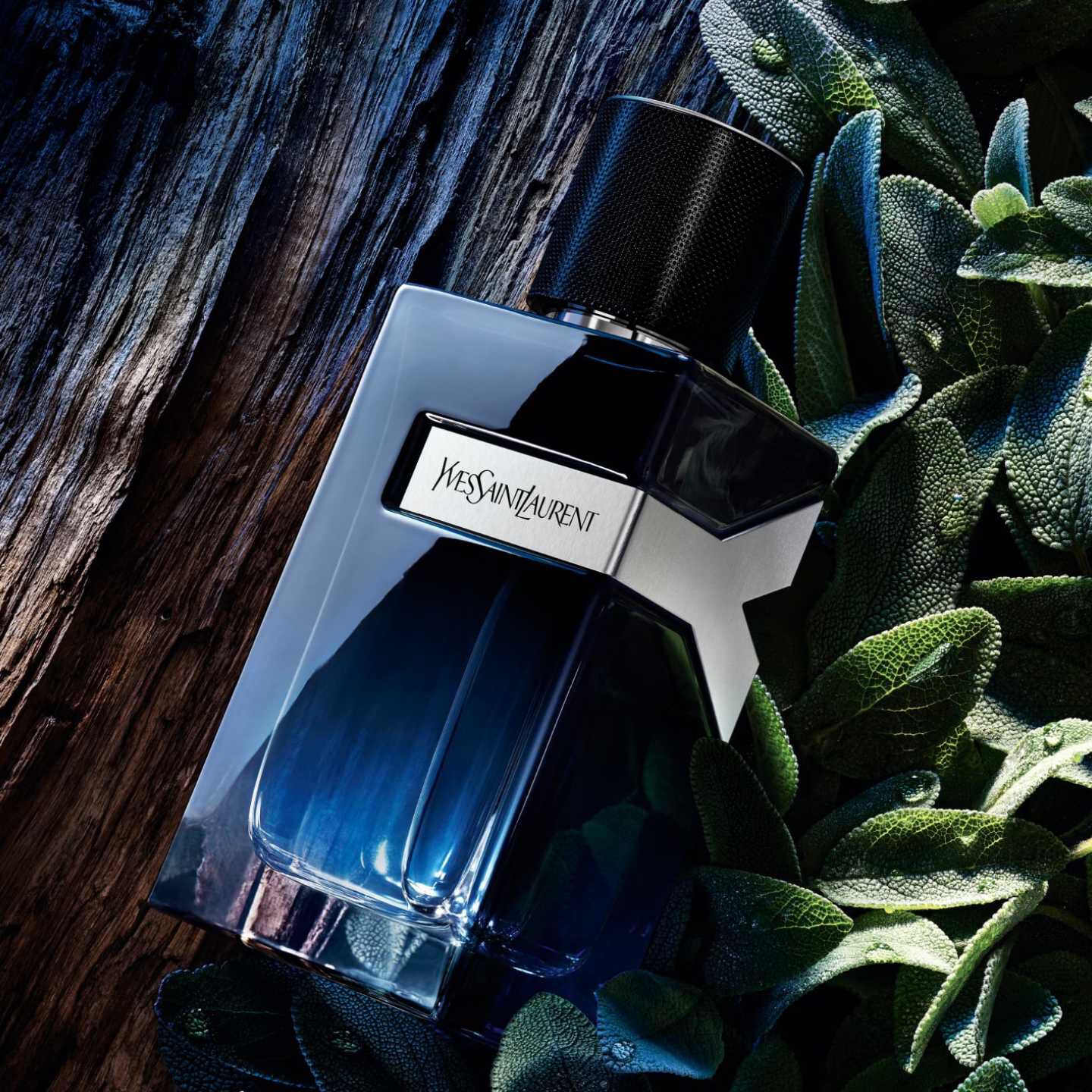 Perfume Caballero Yves Saint Laurent